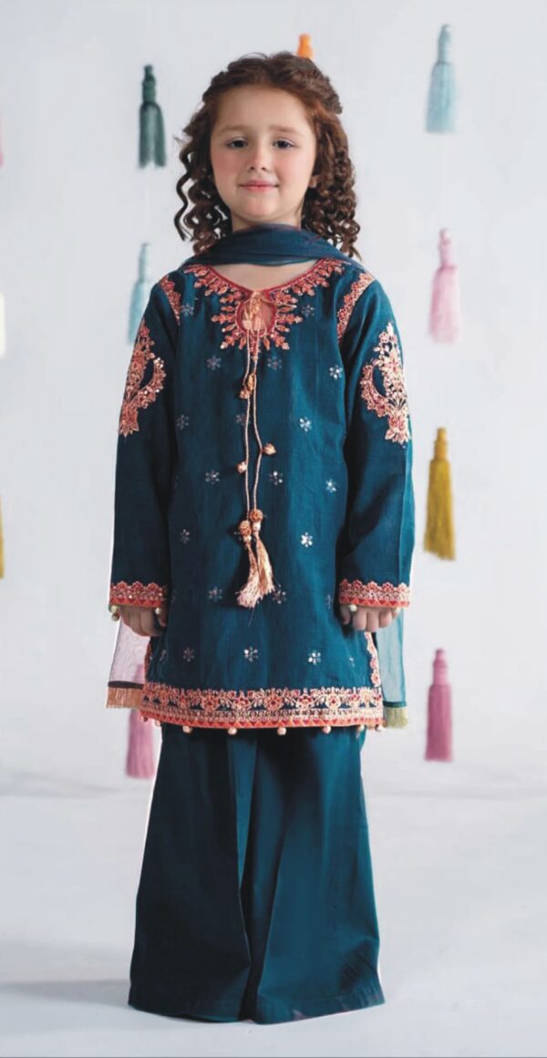 2 Piece Embroidered Linen Suit