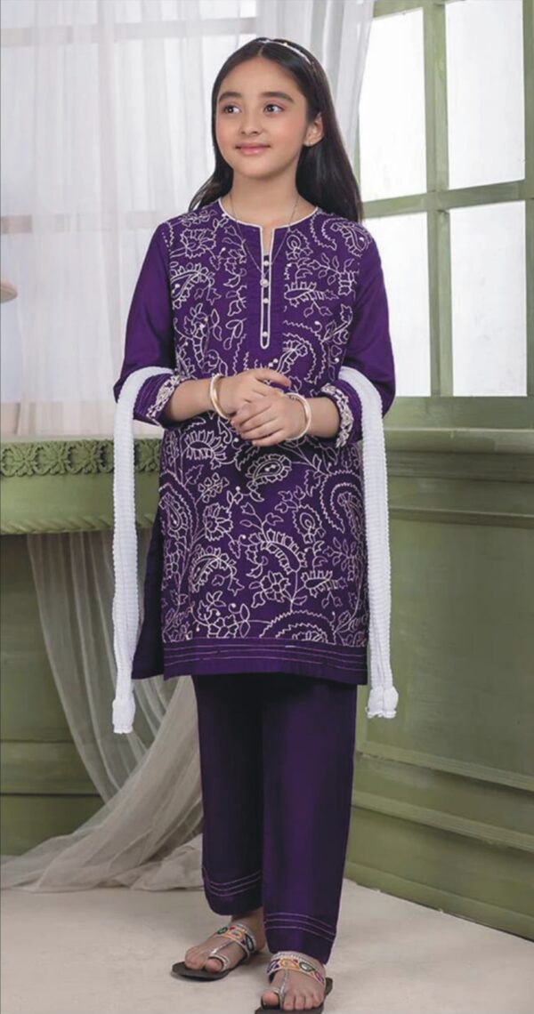 2 Piece Embroidered Linen Suit